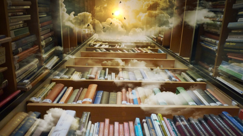 Dire et Lire à l'air, mais aussi un vide-bibliothèques