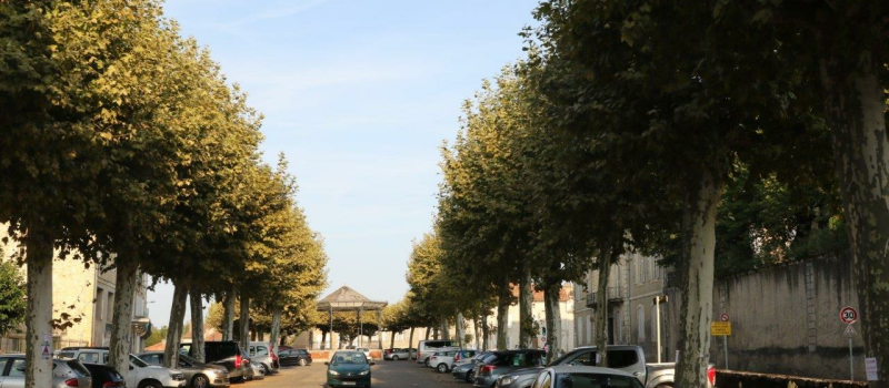 Une nouvelle réunion du Collectif Sauvons les Arbres de Condom