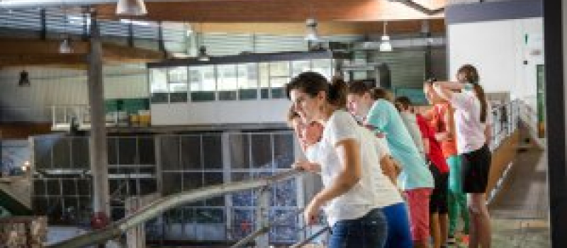 Tout, tout, tout savoir sur le tri sélectif