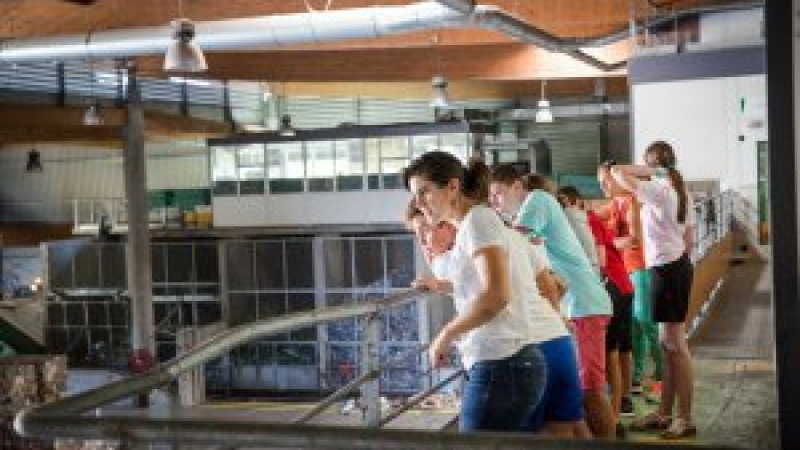 Tout, tout, tout savoir sur le tri sélectif