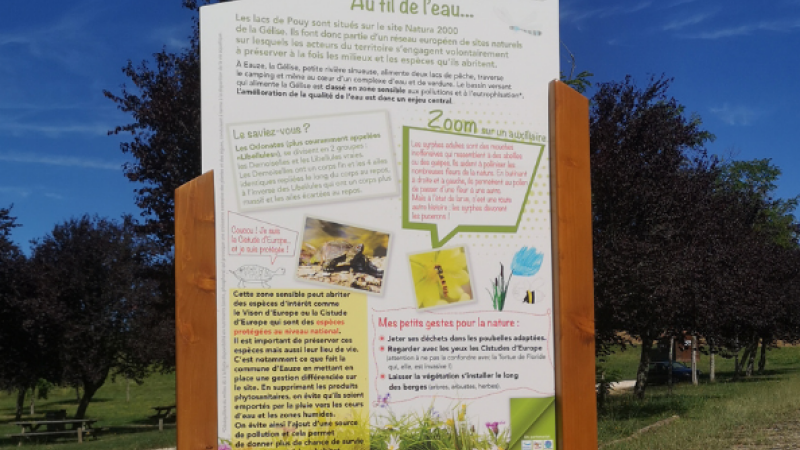 Une ville « zéro-phyto »