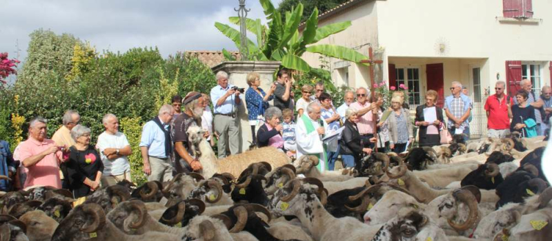 Repas de la Route de la Transhumance