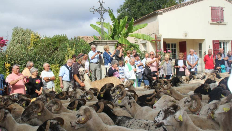 Repas de la Route de la Transhumance