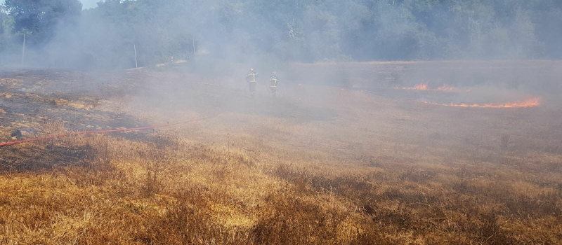 Feu de broussailles