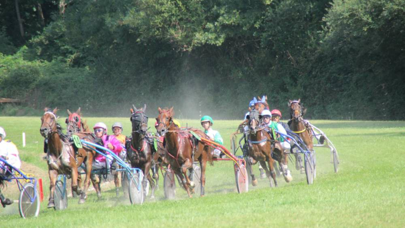 Escargolade et courses de chevaux