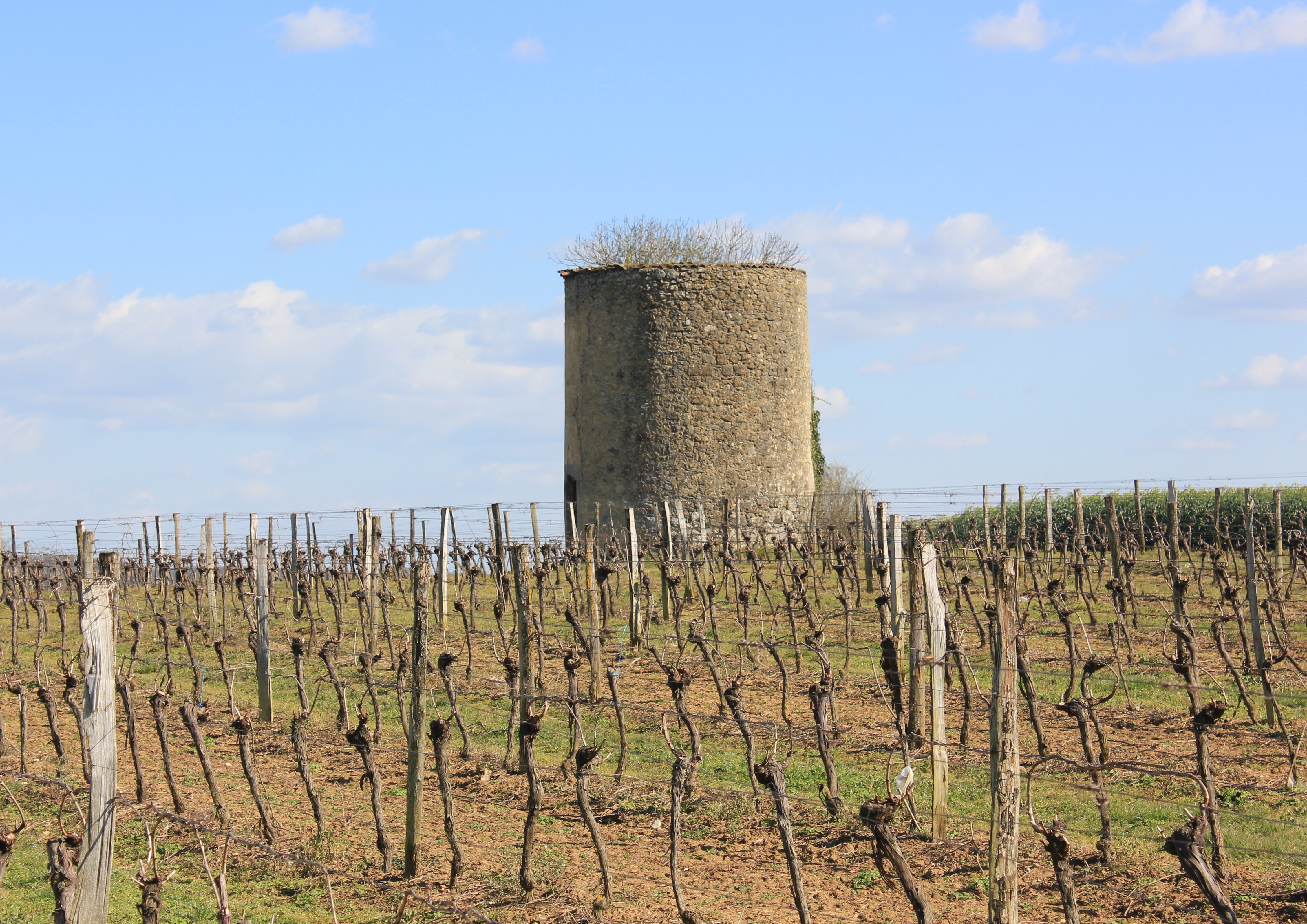 Moulin à vent Courrensan