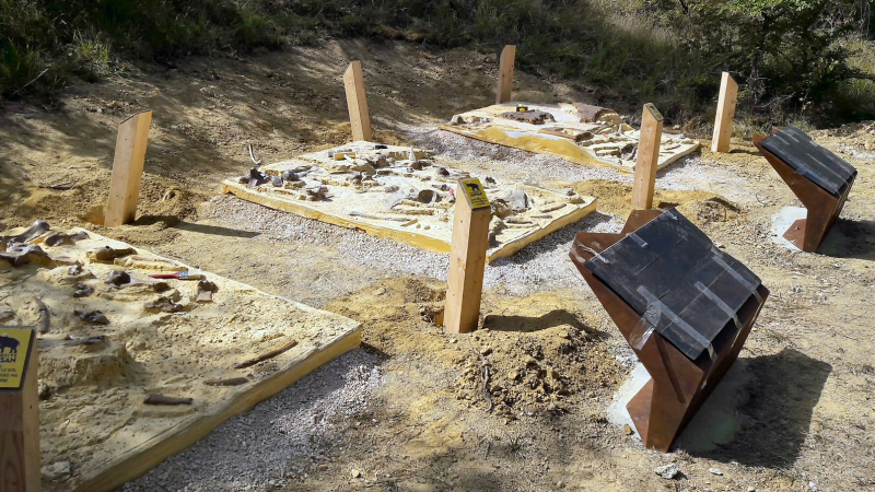 Deux approches différentes du paléosite