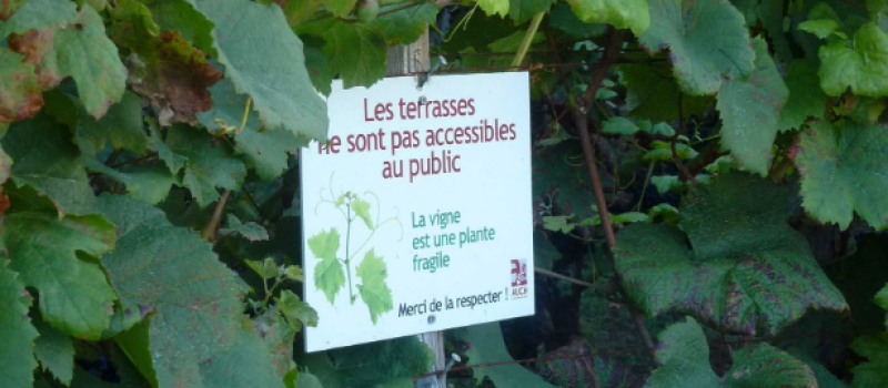 On fait quoi ce week-end ?...