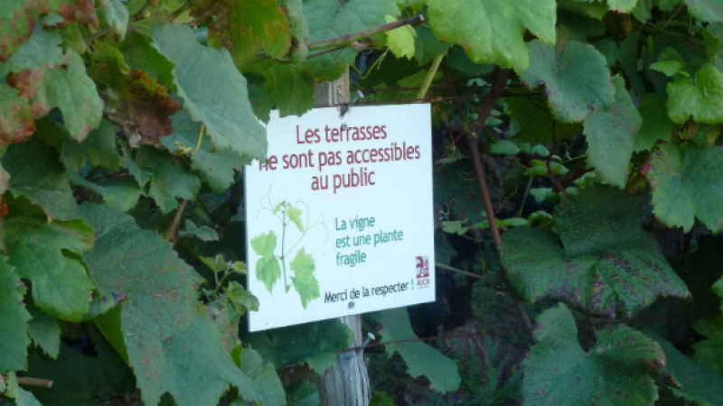 On fait quoi ce week-end ?...