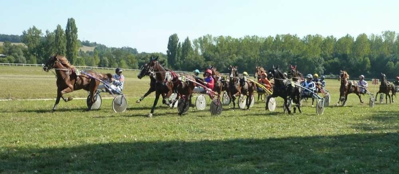 Courses de chevaux, lundi 23 septembre