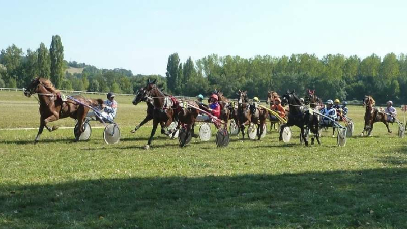 Courses de chevaux, lundi 23 septembre