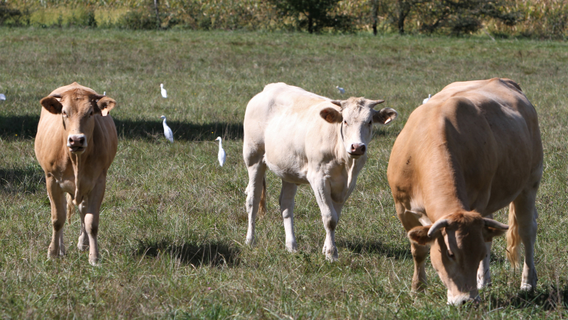 Agriculture : sur vos agendas