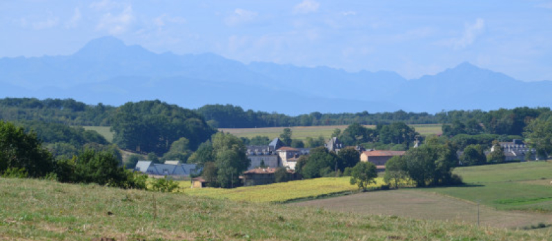 Rando pédestre du haricot tarbais