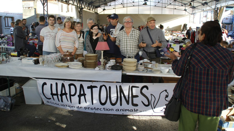 Chapatounes