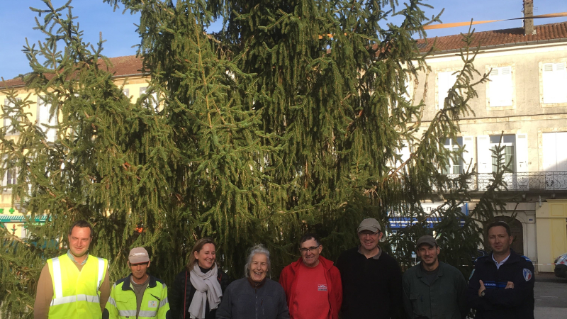 Votre beau sapin !