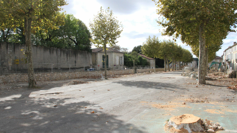 La Société Archéologique et l'historique des Promenades
