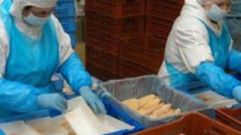 150 emplois à pourvoir pour la saison festive chez Euralis
