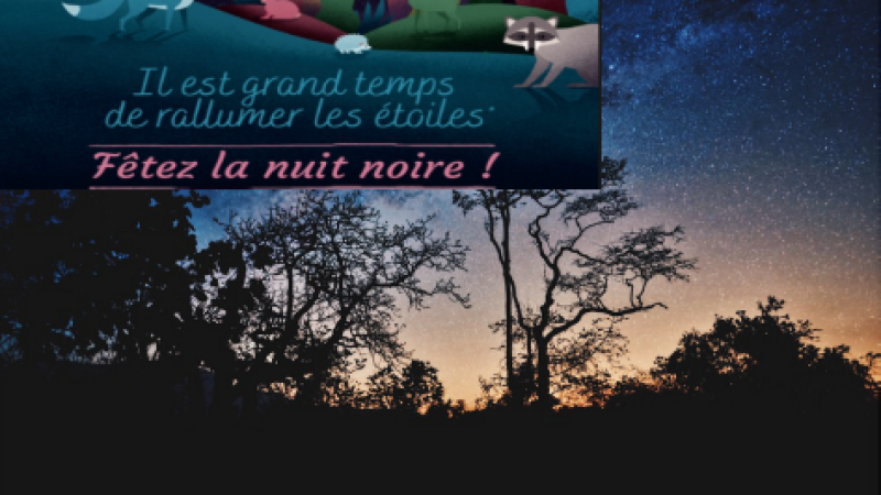 On fait quoi ce week-end ?...