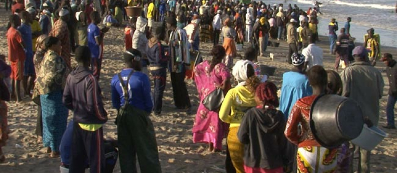 Trois soirées de cinéma et de débat dans le cadre du Festival Alimenterre