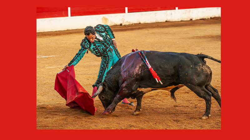 "Aignan y Toros" cherche à augmenter son budget  