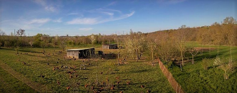 Photo La Ferme en Coton DR