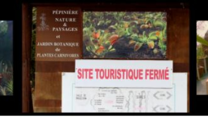 Qui a tué le Jardin Carnivore ?