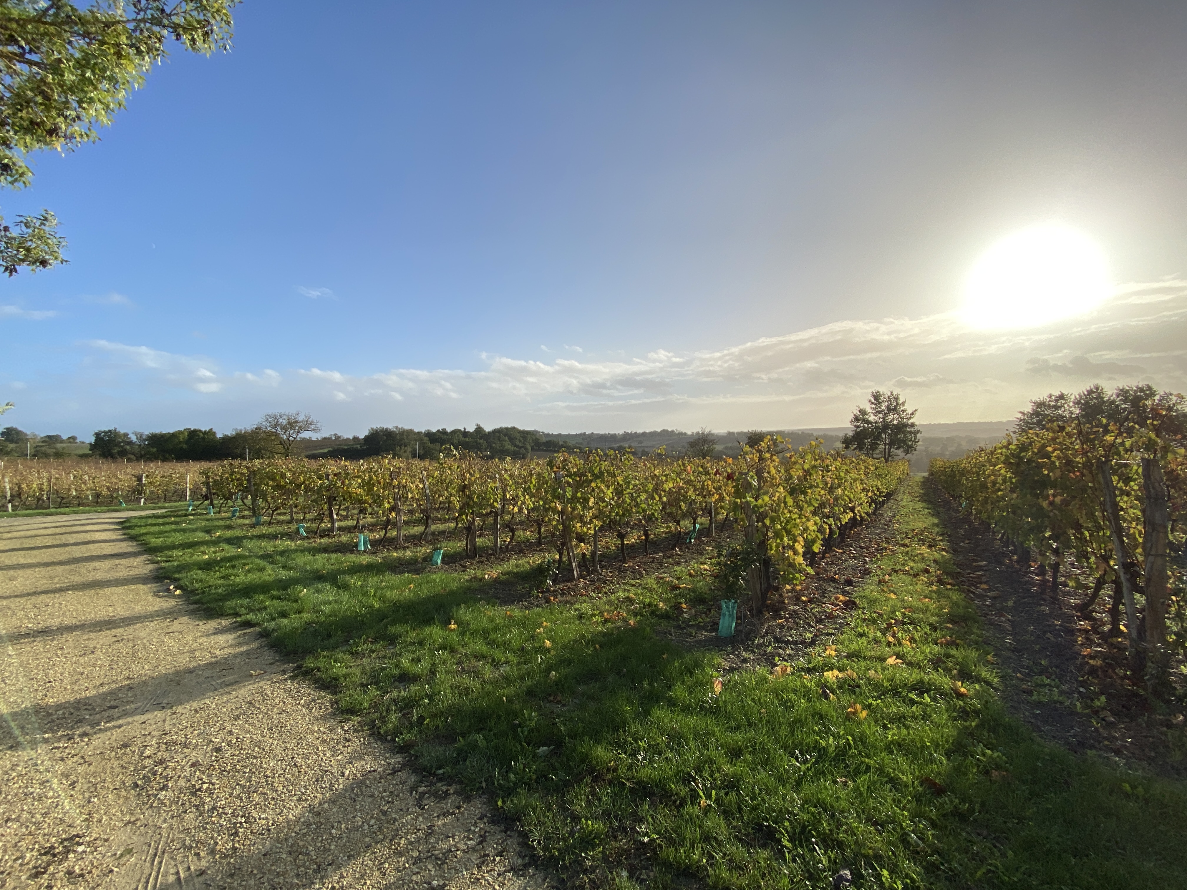 Et si c'était le plus joli domaine du Gers?
