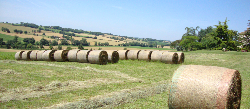 Réunions d’information à destination des employeurs agricoles