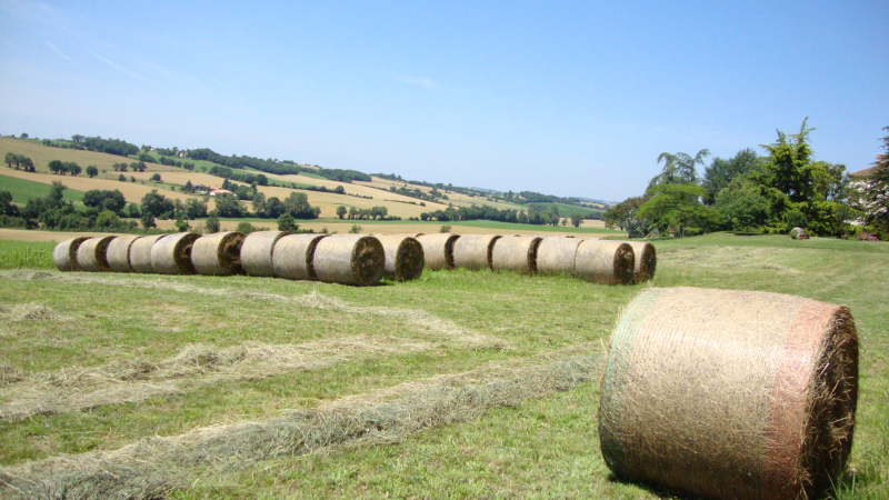 Réunions d’information à destination des employeurs agricoles