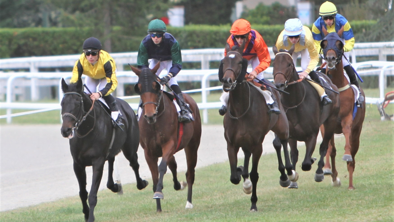 Hippisme : dernier rendez-vous de la saison