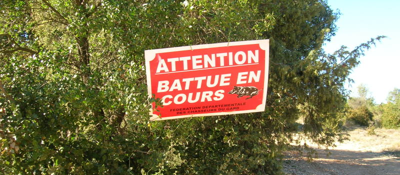 Attention, battue au Bois d’Auch