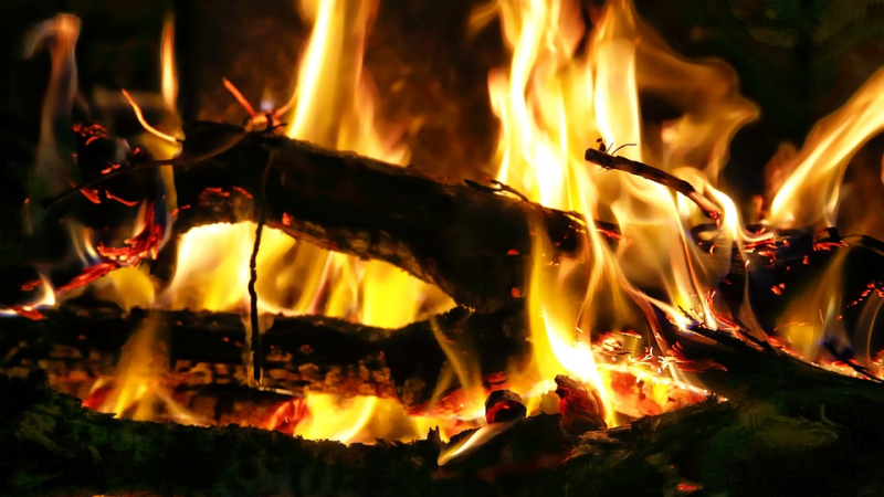 On fait quoi ce week-end ?...