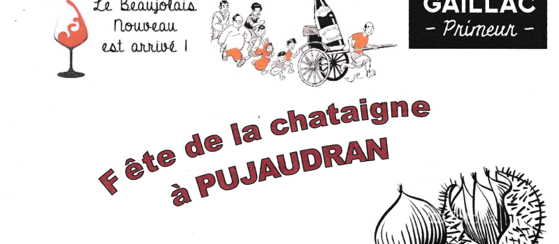 Autour de la châtaigne 