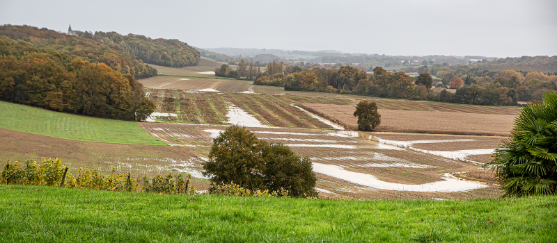 Quelques vues de la campagne inondée  à Bouzon, entre Nogaro et Aignan  