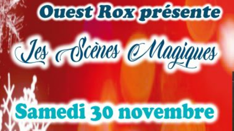 Spectacles et animations de Noël