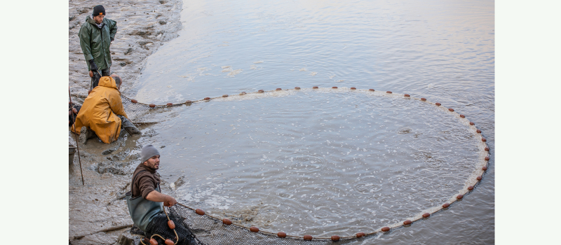 La pêche de l'étang communal du Pesquè