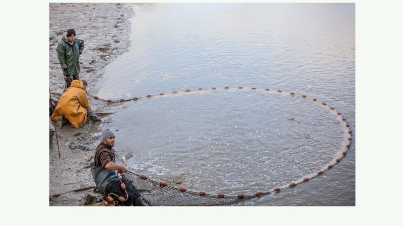 La pêche de l'étang communal du Pesquè