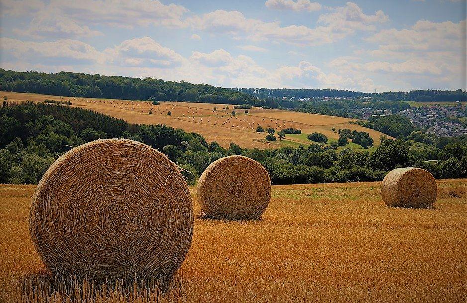 Pixabay.fr