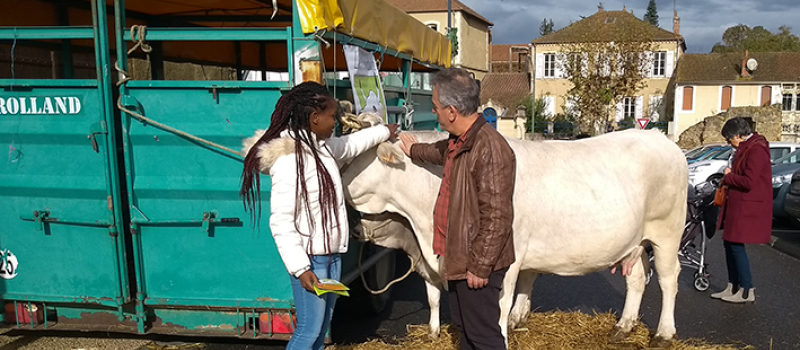 Les agriculteurs gersois acteurs de leurs modes de commercialisation