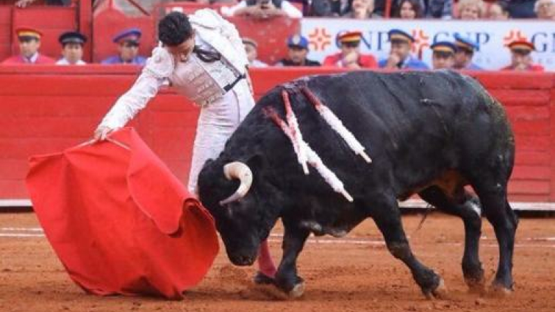 Mexico : vuelta al ruedo après une forte pétition d'oreille pour El Galo