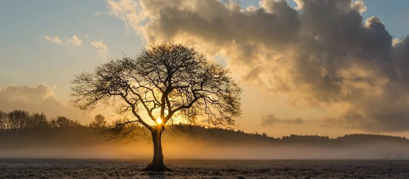 La météo du jour dans notre département