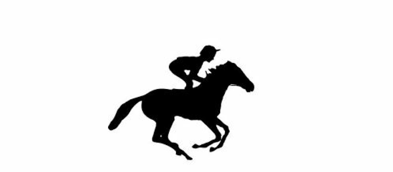 Assemblée générale de la société hippique du Fezensac