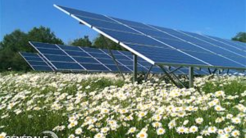 Un financement participatif pour une centrale solaire au sud de Toulouse
