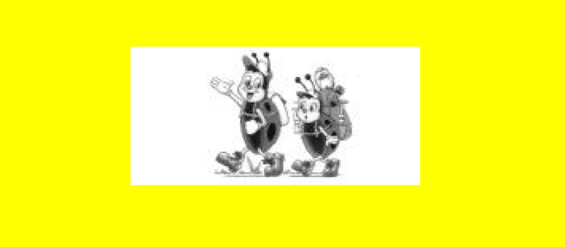 Randonnée pédestre organisée par l'Association des Parents d'Elèves de Marambat dimanche 8 mars 2020