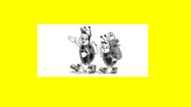 Randonnée pédestre organisée par l'Association des Parents d'Elèves de Marambat dimanche 8 mars 2020