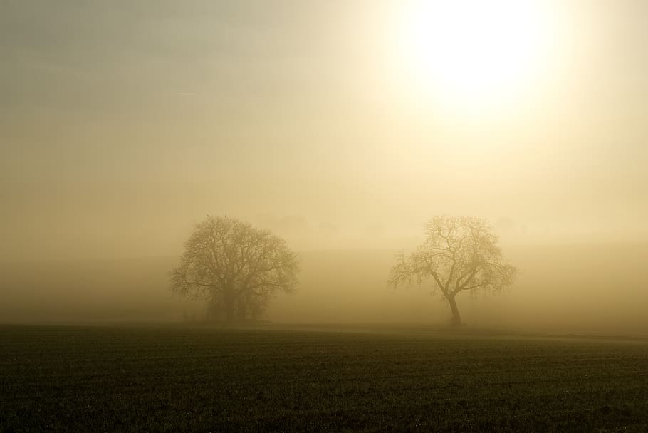 Simple brouillard ou pollution ?