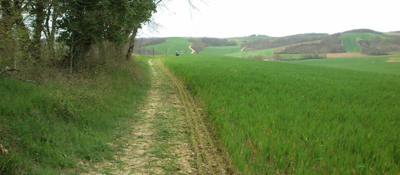 Municipales : l'appel des chemins