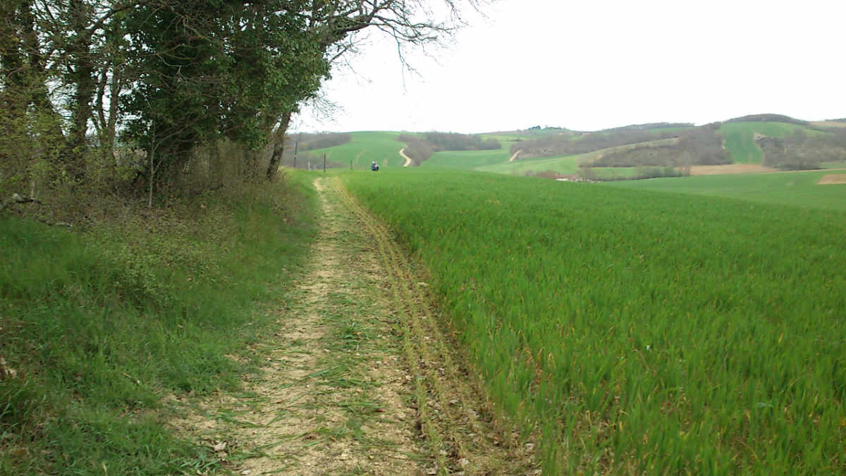 Chemin rural dit d'Ensuin, à Pavie