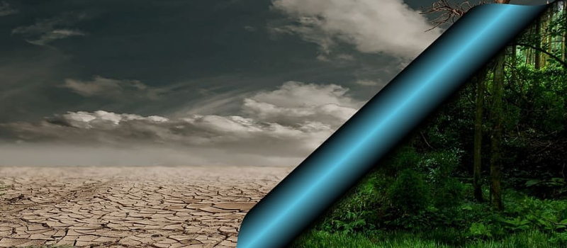 La Fresque du Climat, qu'est-ce que c'est exactement ?