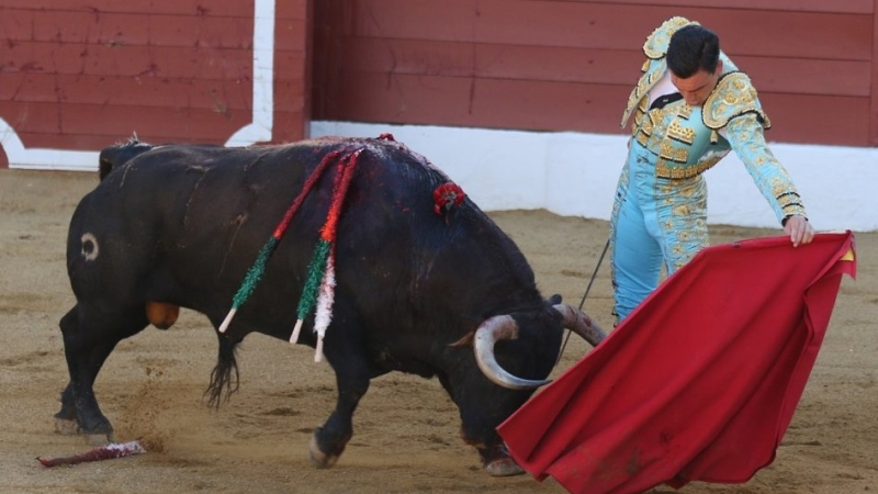 Échos du callejon